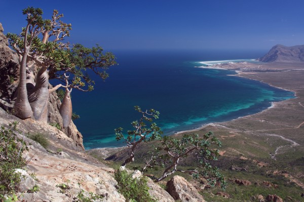 Socotra island MTB, Yemen 2009